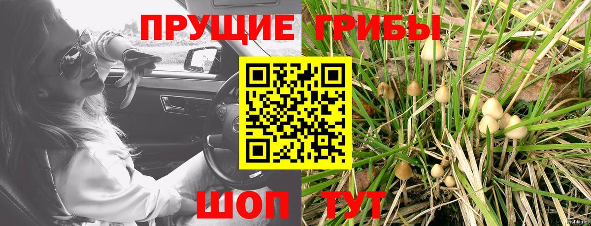 Псилоцибиновые грибы MAGIC MUSHROOMS  Вход с VPN  купить наркоту  Красногорск  Псилоцибиновые грибы прущие грибы 