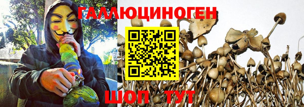 Галлюциногенные грибы GOLDEN TEACHER Красногорск